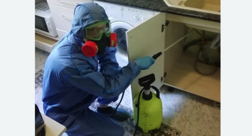 Уничтожение муравьев в квартире. Фряново