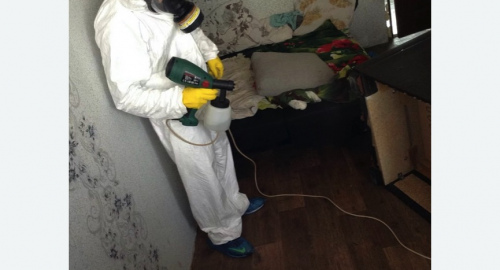 Обработка квартир от насекомых во Фряново