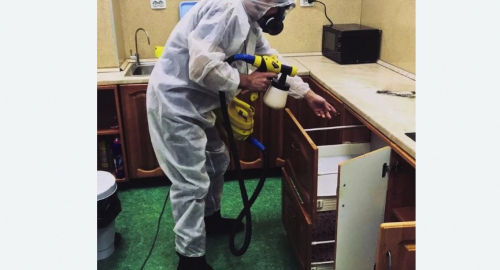 Дезинсекция квартиры. Фряново