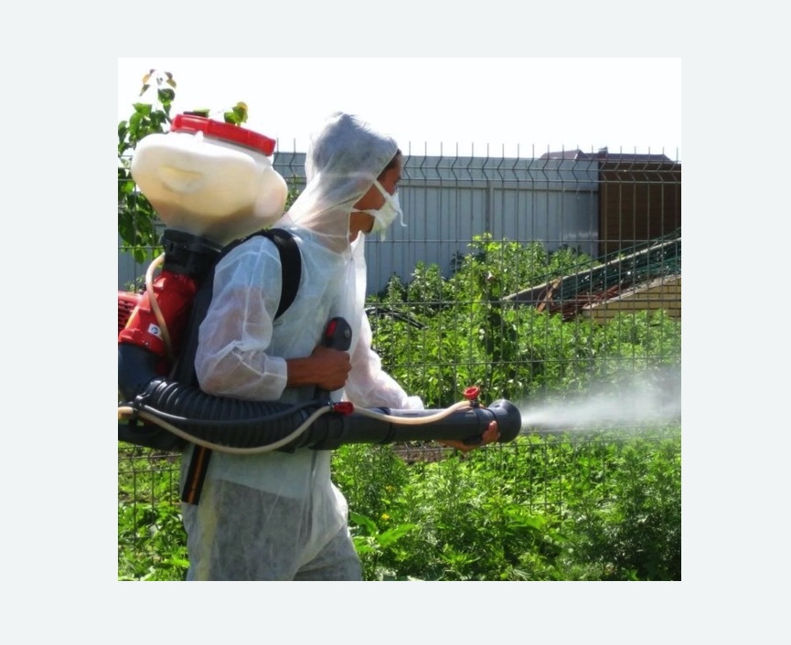 Акарицидная обработка территории во Фряново