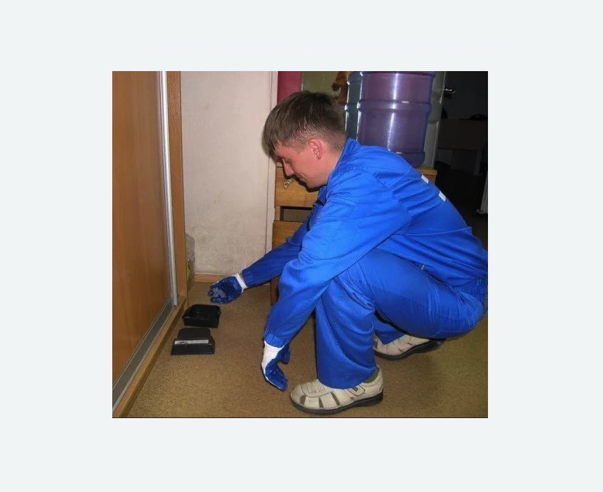 Дератизация крыс во Фряново