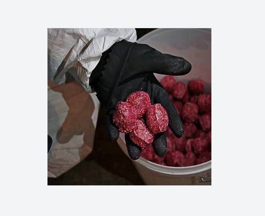 Обработка от крыс во Фряново