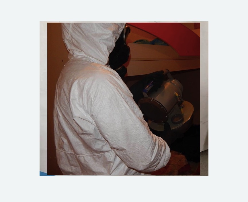 Дезинфекция от муравьев во Фряново