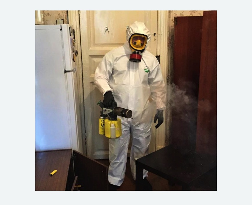 уничтожение муравьев в квартире во Фряново